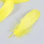 Набор декоративных перьев 160-190 мм (5 шт), жёлтый - фото 10330448
