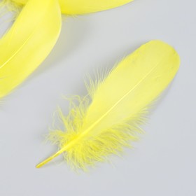 Набор декоративных перьев 160-190 мм (5 шт), жёлтый
