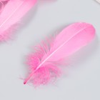 Набор декоративных перьев 160-190 мм (5 шт), розовый - фото 10330454
