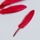 Набор декоративных перьев 60-150 мм (5 шт), вишневый - Фото 1