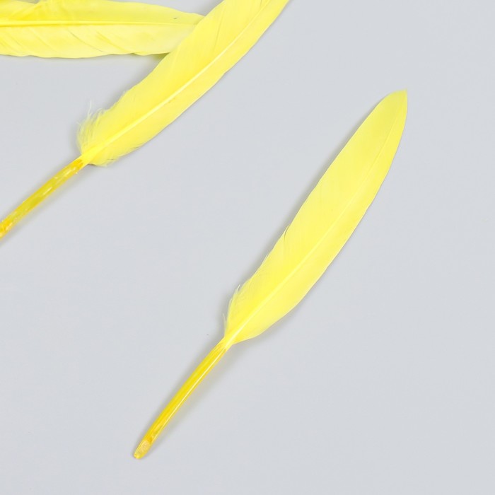 Набор декоративных перьев 60-150 мм (5 шт), жёлтый - Фото 1