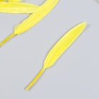 Набор декоративных перьев 60-150 мм (5 шт), жёлтый - Фото 2