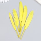 Набор декоративных перьев 60-150 мм (5 шт), жёлтый - Фото 3