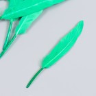 Набор декоративных перьев 60-150 мм (5 шт), зелёный - фото 10330475