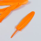 Набор декоративных перьев 60-150 мм (5 шт), оранжевый - Фото 1