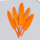 Набор декоративных перьев 60-150 мм (5 шт), оранжевый - Фото 3