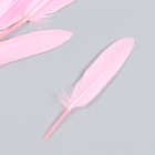 Набор декоративных перьев 60-150 мм (5 шт), светло-розовый - фото 10330487