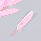 Набор декоративных перьев 60-150 мм (5 шт), светло-розовый - Фото 2