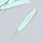 Набор декоративных перьев 60-150 мм (5 шт), светло-салатовый 9528088