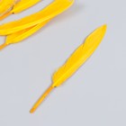 Набор декоративных перьев 60-150 мм (5 шт), тёмно-жёлтый - фото 10330496