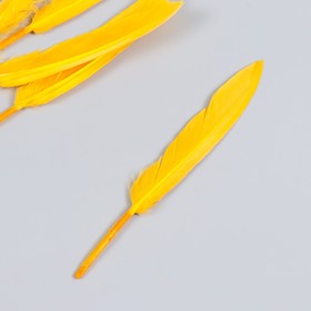Набор декоративных перьев 60-150 мм (5 шт), тёмно-жёлтый