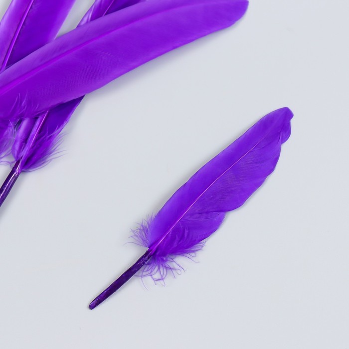 Набор декоративных перьев 60-150 мм (5 шт), фиолетовый - Фото 1