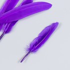 Набор декоративных перьев 60-150 мм (5 шт), фиолетовый - Фото 2