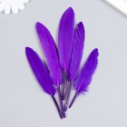 Набор декоративных перьев 60-150 мм (5 шт), фиолетовый - Фото 3