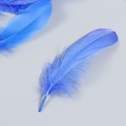 Набор декоративных перьев 160-190  мм (5 шт), синий - фото 10330507