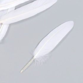 Набор декоративных перьев 60-150 мм (5 шт), белый