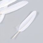 Набор декоративных перьев 60-150 мм (5 шт), белый - фото 24597437