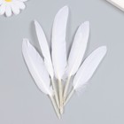 Набор декоративных перьев 60-150 мм (5 шт), белый - фото 24597438