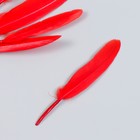 Набор декоративных перьев 60-150 мм (5 шт), красный - фото 10330516