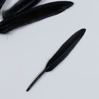 Набор декоративных перьев 60-150 мм (5 шт), черный - фото 10330519