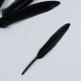Набор декоративных перьев 60-150 мм (5 шт), черный