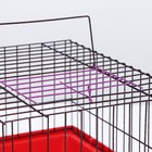 Клетка для морской свинки, 40 х 30 х 25 см красная - фото 44776122