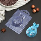 Форма для шоколада пластиковая «Яйцо кролик», 9,3×6×2,4 см, цвет прозрачный - Фото 1