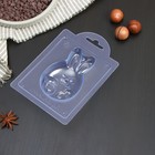 Форма для шоколада пластиковая «Яйцо кролик», 9,3×6×2,4 см, цвет прозрачный - Фото 2
