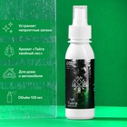 Ароматизатор-спрей Grand Caratt Тайга, Хвойный лес, 100 мл - Фото 1