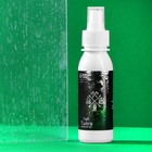 Ароматизатор-спрей Grand Caratt Тайга, Хвойный лес, 100 мл - Фото 2