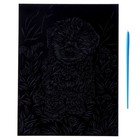 Гравюра. Скретчинг, 18 × 24 см, Животные классика «Мальтипу» - Фото 3