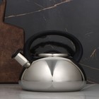 УЦЕНКА Чайник со свистком Доляна «Квант», 2.8 л, фиксированная ручка, цвет чёрный - Фото 1