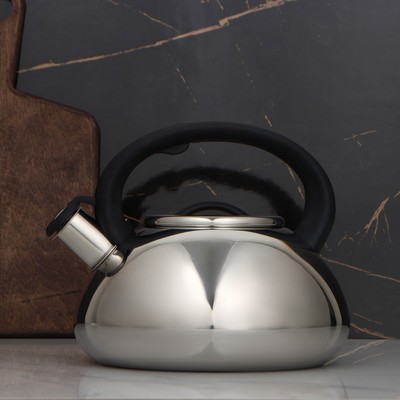 УЦЕНКА Чайник со свистком Доляна «Квант», 2.8 л, фиксированная ручка, цвет чёрный