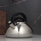 УЦЕНКА Чайник со свистком Доляна «Квант», 2.8 л, фиксированная ручка, цвет чёрный - Фото 2