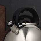 УЦЕНКА Чайник со свистком Доляна «Квант», 2.8 л, фиксированная ручка, цвет чёрный - Фото 3