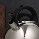 УЦЕНКА Чайник со свистком Доляна «Квант», 2.8 л, фиксированная ручка, цвет чёрный - Фото 4