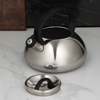 УЦЕНКА Чайник со свистком Доляна «Квант», 2.8 л, фиксированная ручка, цвет чёрный - Фото 6