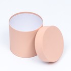 Набор коробок 3в1 «Персиковый», 15 × 15, 18 × 18, 19×19 см 9559095