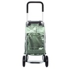 Сумка-тележка FLEXI, зелёная - Фото 2