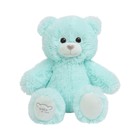 Мягкая игрушка «Медведь», 50 см, цвет мятный - фото 2745262