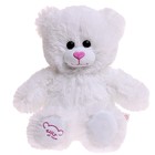 Мягкая игрушка «Медведь», 30 см по спинке, цвет белый - фото 319328490