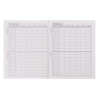 Дневник твердая обложка 1-11 класс 40 листов, Приключения кота Пирожка, матовая ламинация (комплект 2 шт) - фото 45943708