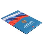 Дневник твердая обложка 1-11 класс 40 листов, Российского школьника, матовая ламинация - фото 24679010