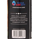Набор ароматизаторов для авто Grand Caratt, спрей, бутылочка, картон, Огонь - фото 9099654