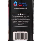 Набор ароматизаторов для авто Grand Caratt, спрей, бутылочка, картон, Земля - фото 6841053
