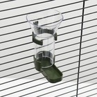 Кормушка для птиц, широкий носик, 75 мл, изумрудная - фото 37451694