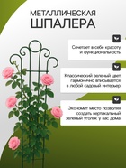 Шпалера, 75×30×0.4 см, металл, зелёная, «Мини-декор» - фото 44776156