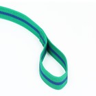 Поводок 2 м х 3 см, зелёно-синий - Фото 3