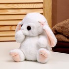Мягкая игрушка «Зайка с бантиком», 20 см, цвет белый 9417585 - фото 16243507