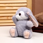 Мягкая игрушка «Зайка с бантиком», 20 см, цвет серый - фото 25463700